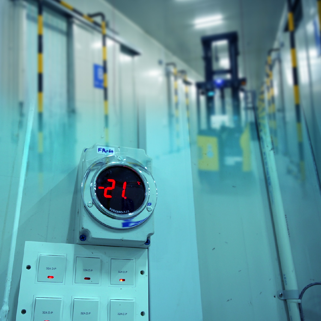 Cold Chain & Ambient Warehousing